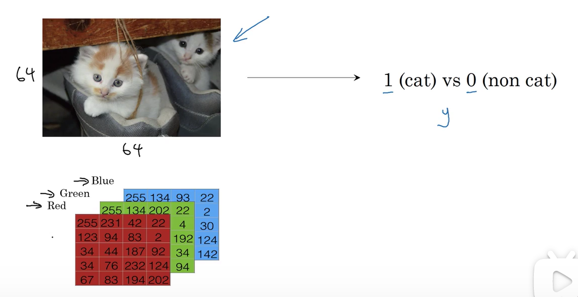 image-20210304185628040